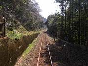 画像(180x135)・拡大画像(640x480)