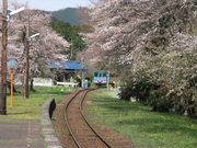 画像(180x135)・拡大画像(640x480)