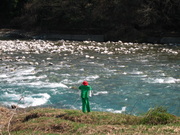 画像(180x135)・拡大画像(640x480)