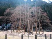 画像(180x135)・拡大画像(640x480)