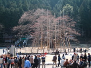 画像(180x135)・拡大画像(640x480)