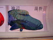 画像(180x135)・拡大画像(640x480)