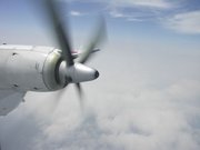 画像(180x135)・拡大画像(640x480)