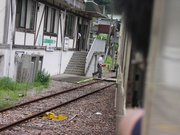 画像(180x135)・拡大画像(640x480)