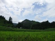 画像(180x135)・拡大画像(640x480)