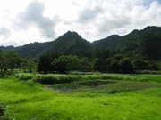 画像(180x135)・拡大画像(640x480)