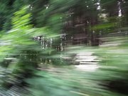 画像(180x135)・拡大画像(640x480)