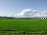 画像(180x135)・拡大画像(640x480)