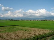 画像(180x135)・拡大画像(640x480)