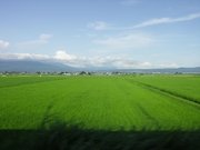 画像(180x135)・拡大画像(640x480)