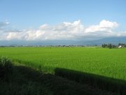 画像(180x135)・拡大画像(640x480)