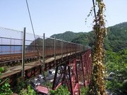 画像(180x135)・拡大画像(640x480)