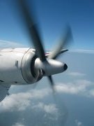 画像(135x180)・拡大画像(480x640)