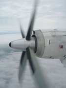 画像(135x180)・拡大画像(480x640)