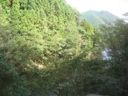 画像(180x135)・拡大画像(640x480)