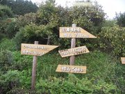 画像(180x135)・拡大画像(640x480)