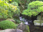 画像(180x135)・拡大画像(640x480)