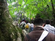 画像(180x135)・拡大画像(640x480)