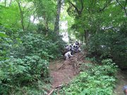 画像(180x135)・拡大画像(640x480)