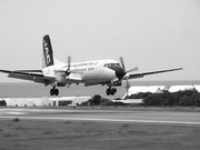 画像(180x135)・拡大画像(640x480)