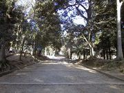 画像(180x135)・拡大画像(640x480)