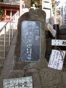 画像(135x180)・拡大画像(480x640)