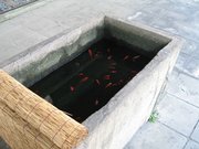 画像(180x135)・拡大画像(640x480)