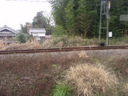 関西唯一のスイッチバックも残り一週間〜北宇智駅をゆく