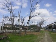 画像(180x135)・拡大画像(640x480)