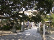 画像(180x135)・拡大画像(640x480)