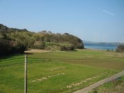 画像(180x135)・拡大画像(640x480)