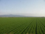 画像(180x135)・拡大画像(640x480)