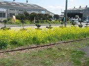 画像(180x135)・拡大画像(640x480)