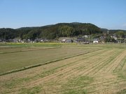 画像(180x135)・拡大画像(640x480)