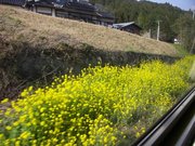 画像(180x135)・拡大画像(640x480)