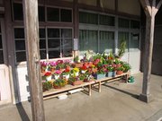 画像(180x135)・拡大画像(640x480)