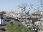 画像(180x135)・拡大画像(640x480)