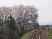 画像(180x135)・拡大画像(640x480)