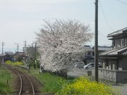 画像(180x135)・拡大画像(640x480)