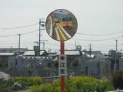 画像(180x135)・拡大画像(640x480)