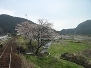 画像(180x135)・拡大画像(640x480)