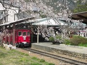 画像(180x135)・拡大画像(640x480)