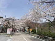 画像(180x135)・拡大画像(640x480)