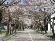 画像(180x135)・拡大画像(640x480)