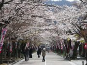 画像(180x135)・拡大画像(640x480)