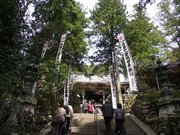 画像(180x135)・拡大画像(640x480)