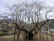 画像(180x135)・拡大画像(640x480)