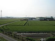 画像(180x135)・拡大画像(640x480)