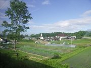 画像(180x135)・拡大画像(640x480)