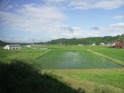 画像(180x135)・拡大画像(640x480)